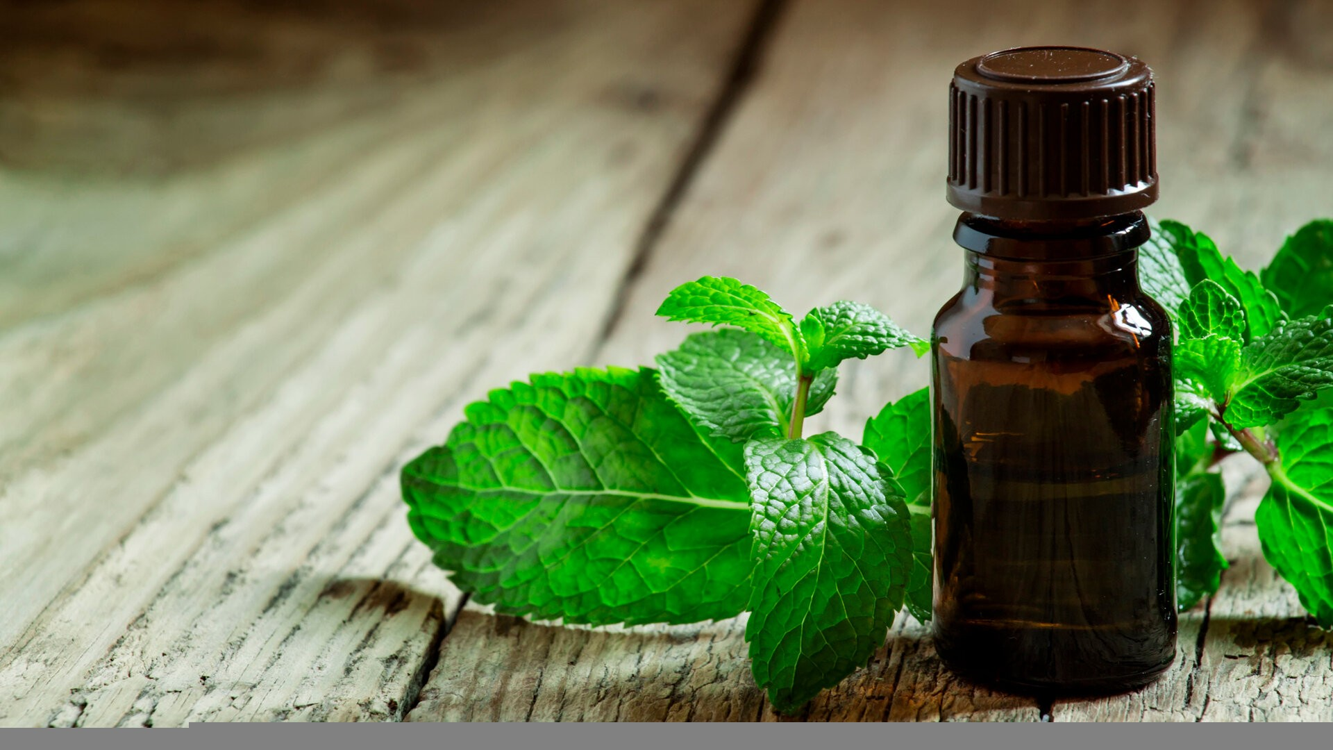 Grüne Kräuter und Arzneimittelfläschchen auf Holztisch