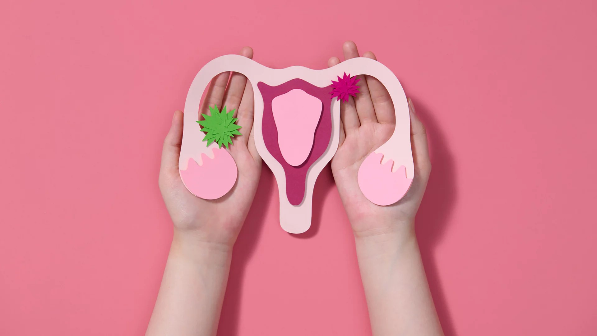 Zwei Hände mit Modell von Gebärmutter und Eierstöcken